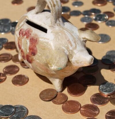 dog trainer coventry 121 obedience dog walker puppy training classes money box