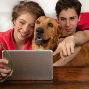 Online Dog Training Puppy Training Classes Coventry