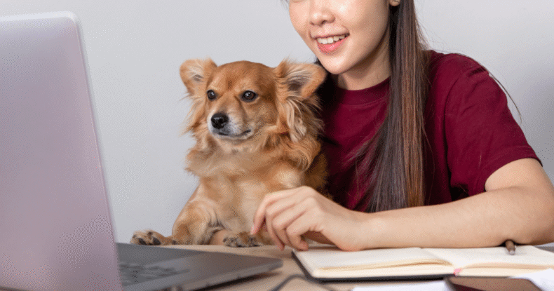 Online Dog Training Classes Coventry