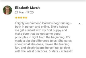 Online dog training testimonial