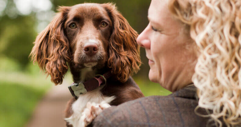 Common Signs of Separation Anxiety Dog Trainer Coventry