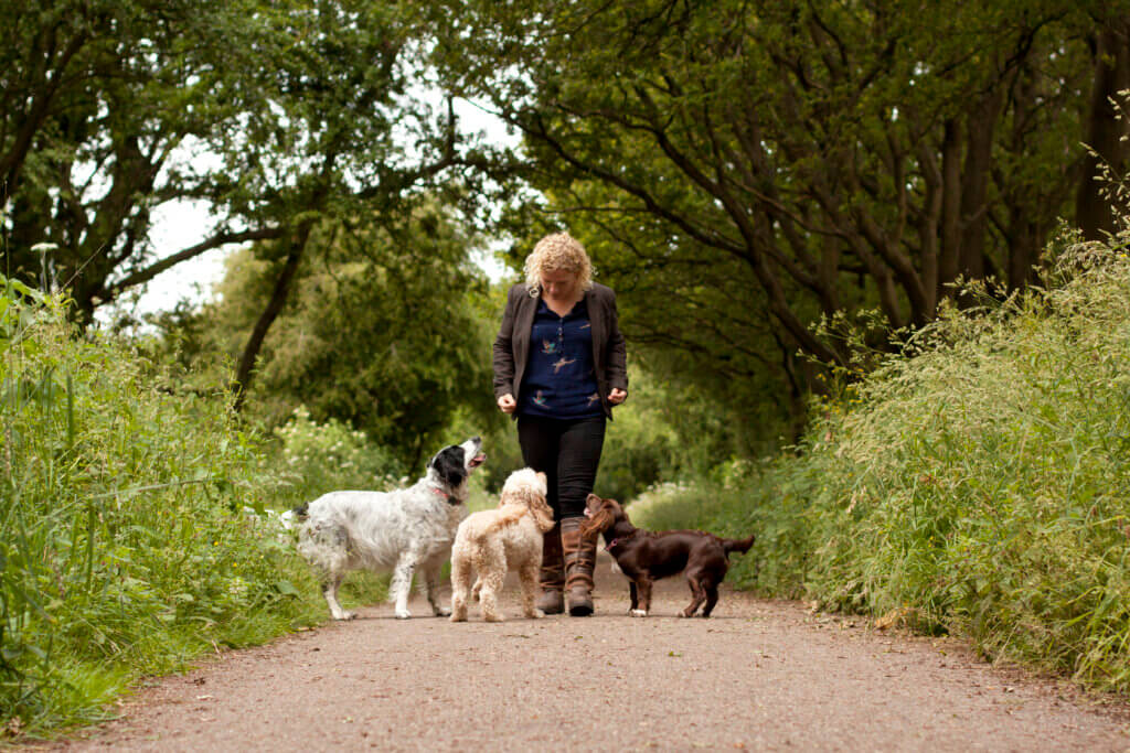 Carrie training dogs in Coventry