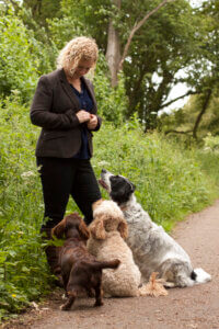 Carrie working with four dogs outdoors, showcasing her dog training and behaviour skills in Coventry