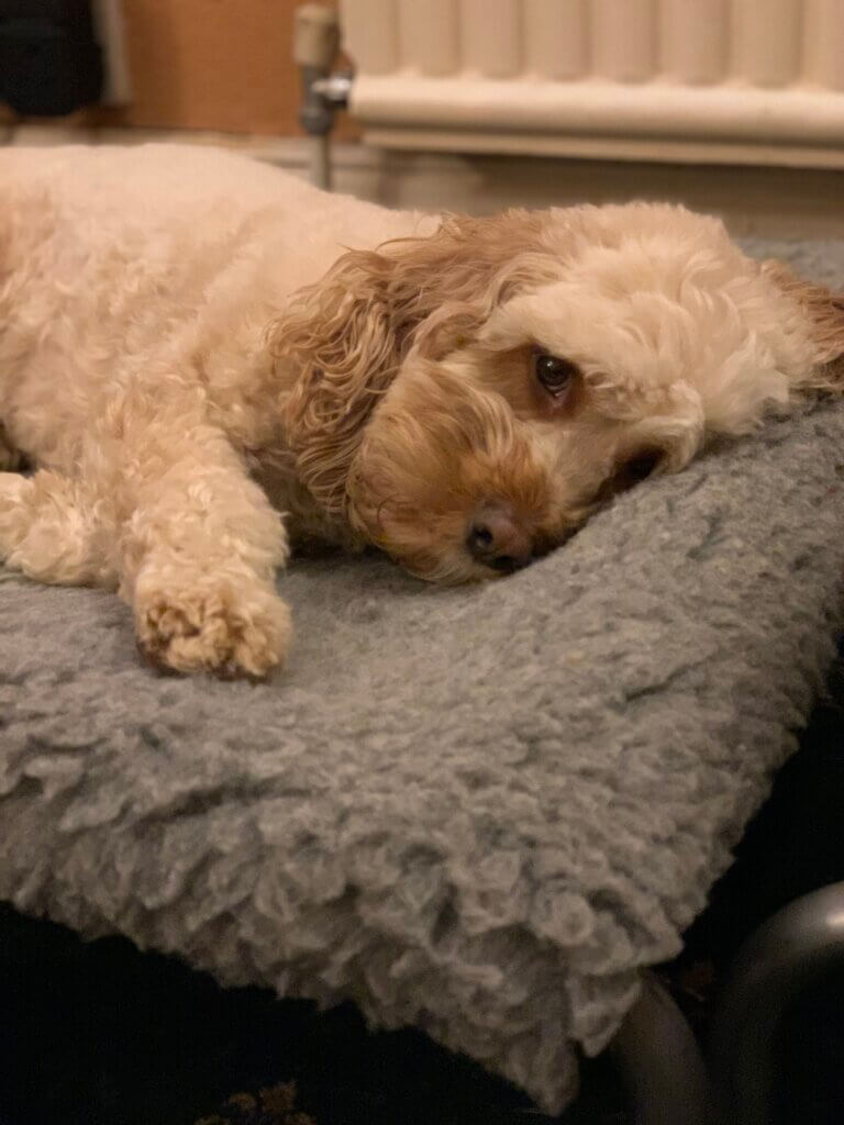 Eric resting