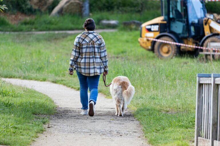 Owner practising loose lead walking with dog in a quiet park – “Consistent dog training leads to calm loose lead walking in Coventry”