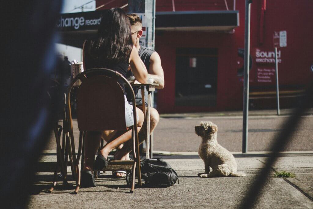 Consistency in daily routines helps dogs settle