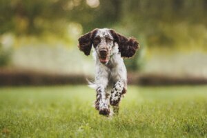 building reliable recall without repetition