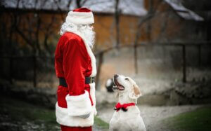 dog and Santa