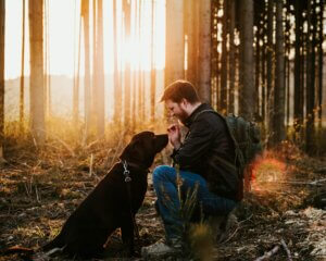 How to Stop Dog Pulling on Lead by building connection and building relationship