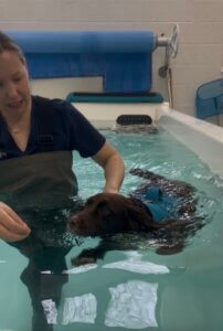 Hydrotherapy swimming session supporting joint recovery