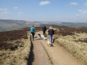 being able to take your dogs everywhere including walks in the peak district